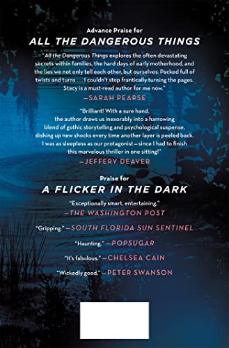 All the Dangerous Things: A Novel